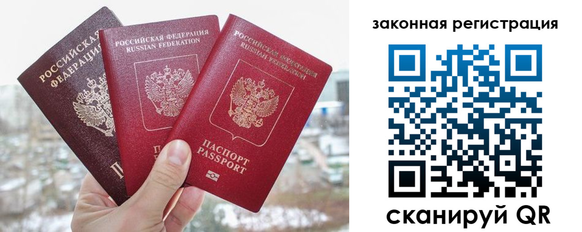 найти адрес прописки в Ногинске